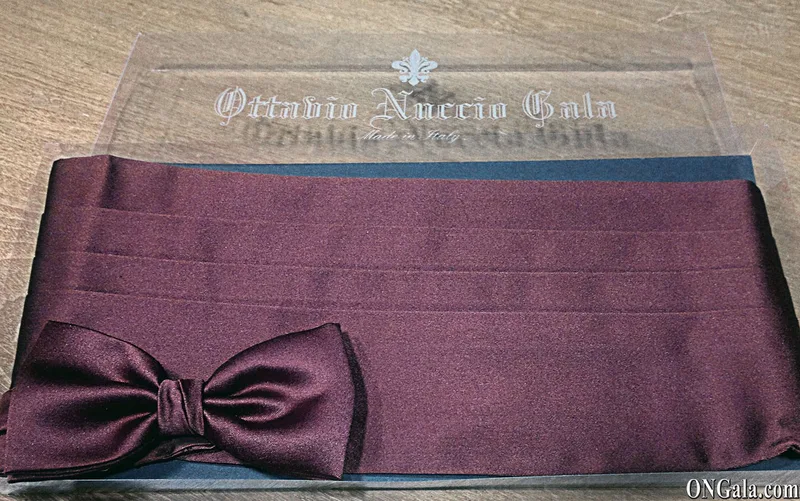 Kummerbund und Fliege, rot, aus Polyester